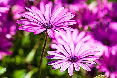 《鬼泣6》？《鬼泣5》作曲师暗示将回归该系列