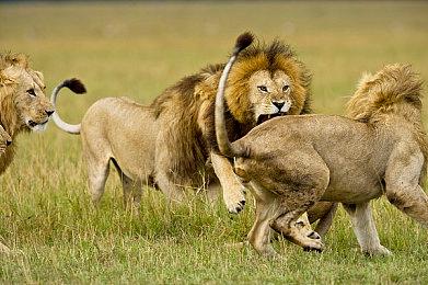 《方舟2》延期至后年？开发商赶紧澄清：只是合作方笔误